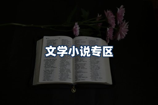 文学小说PDF展示